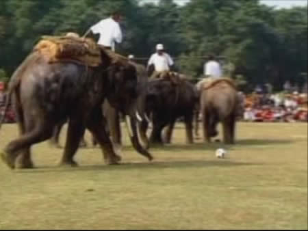 صور Nepal, entertainment تسلية